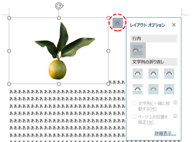 Word_レイアウトオプションボタン