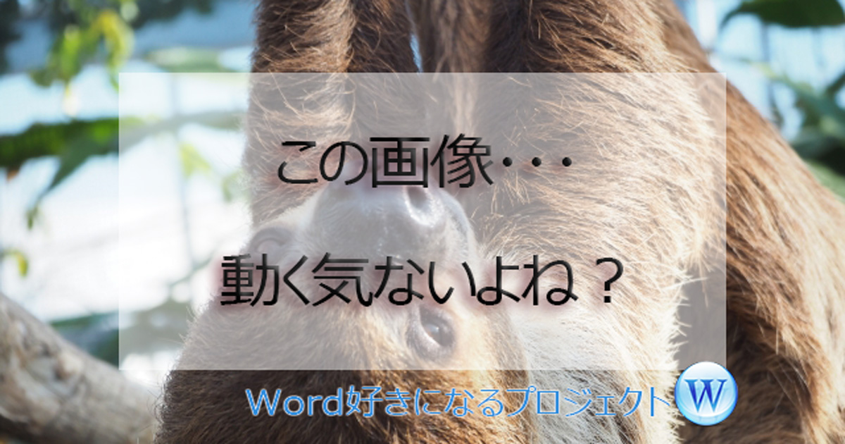 Word画像動かない