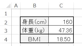 Excel_9BMI結果