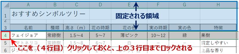 行ロック時のアクティブセル