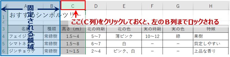 列ロック時のアクティブセル